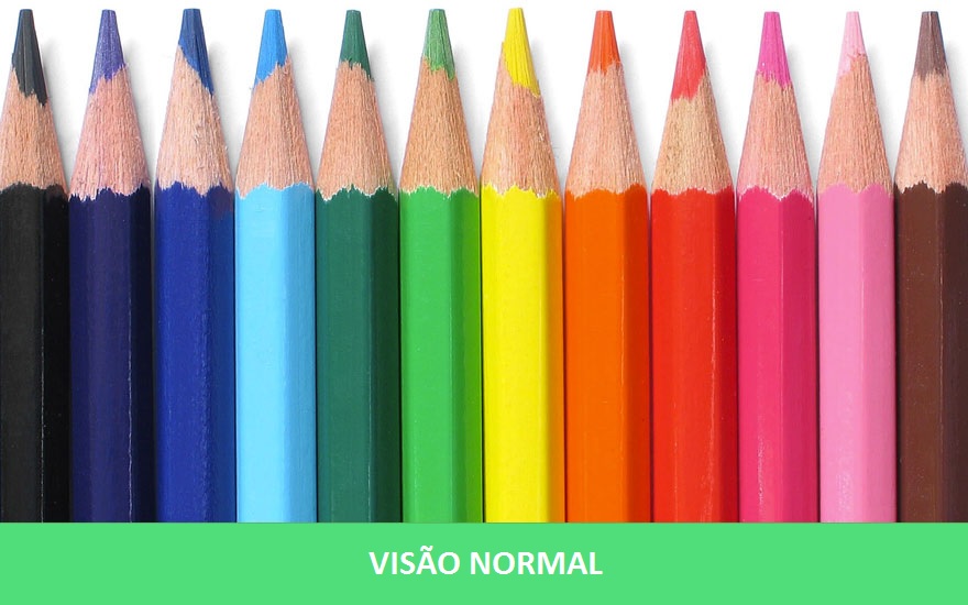 Essa imagem é a visão que uma pessoa normal tem das cores