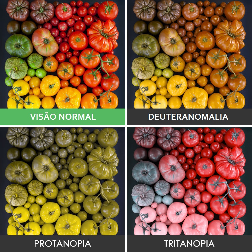 Tomatinhos