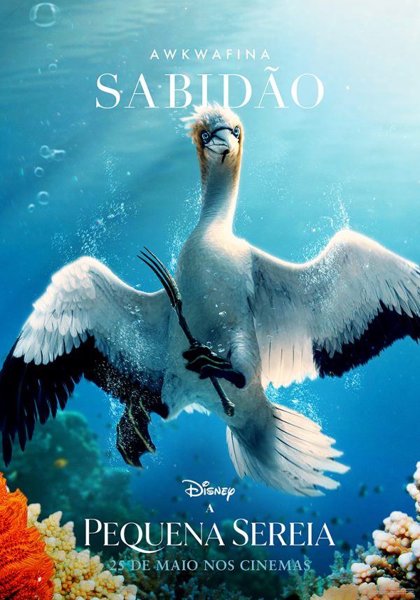 Sabidão | Divulgação: Disney