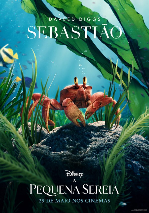 Sebastião | Divulgação: Disney