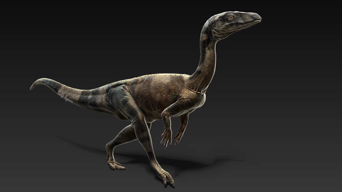 Развитие динозавров. Pampadromaeus barberenai. Эораптор динозавр. Эволюция динозавров. Ставрикозавр.