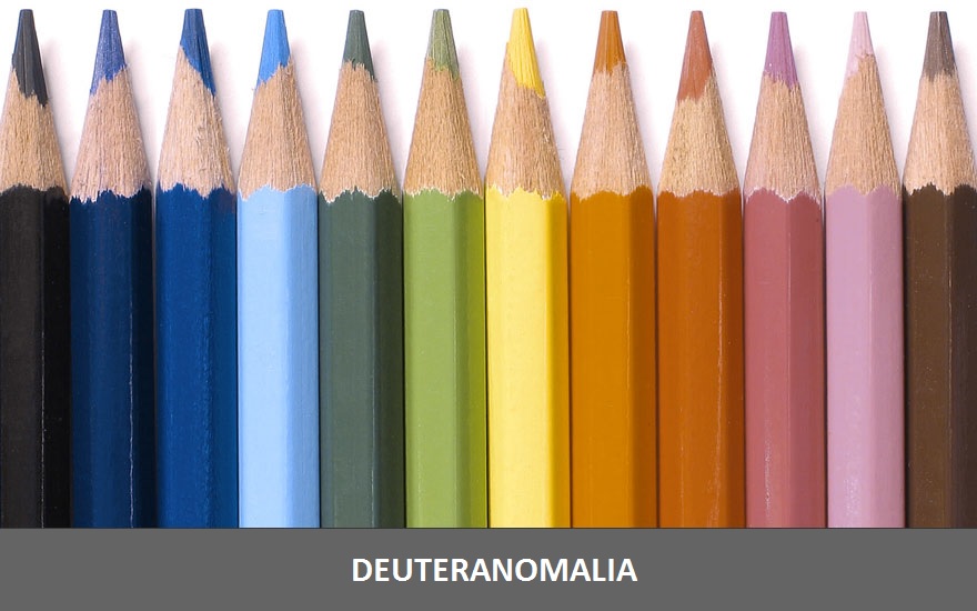 Essa imagem mostra como a pessoa que tem Deuteranomalia vê as cores. A impressão que temos é de que as cores são menos "saturadas"
