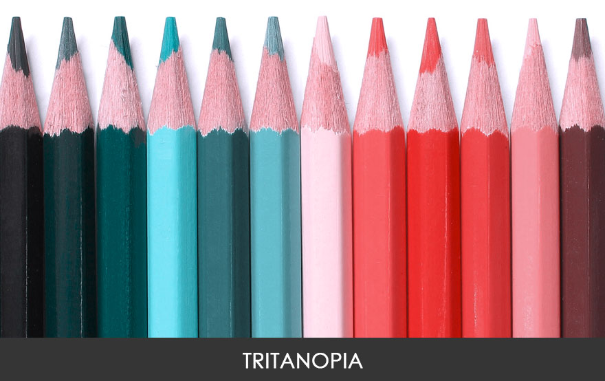 Essa imagem mostra como a pessoa com Tritanopia enxerga as cores. Bem diferente, não?