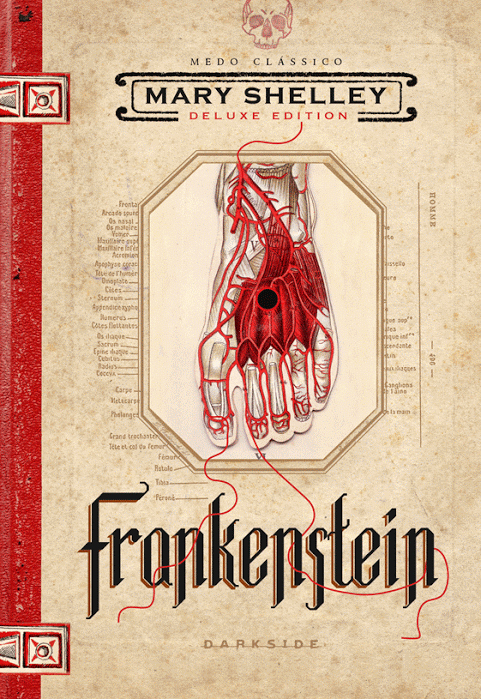 frankenstein-livro-mary-shelley