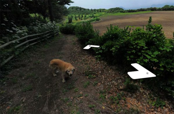 google-street-view-cachorro-segue-photobombing-furos-11