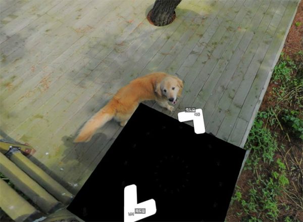 google-street-view-cachorro-segue-photobombing-furos-9