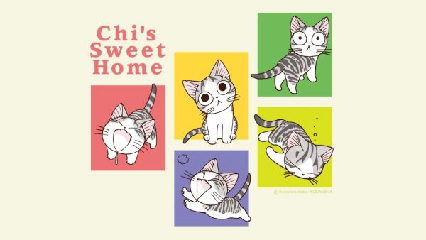chis-sweet-home