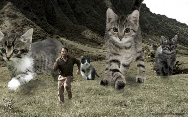 Jurassic Park cats_3