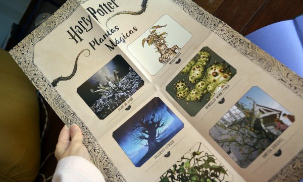Mundo mágico Rowling harry Potter bestiário (7)