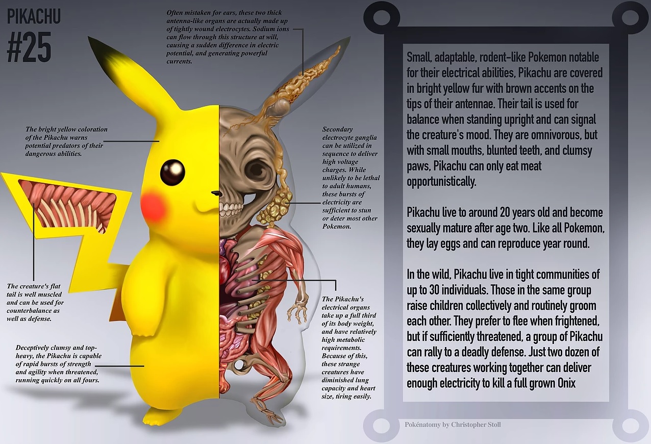 livro-anatomia-pokémon-1