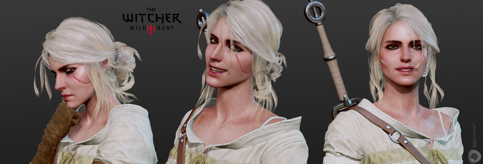 the witcher 22