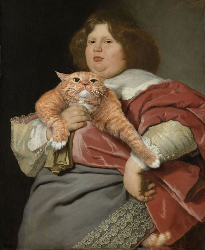 fat cat 9