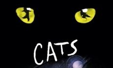 35195-cats-the-musical-0-230-0-345-crop