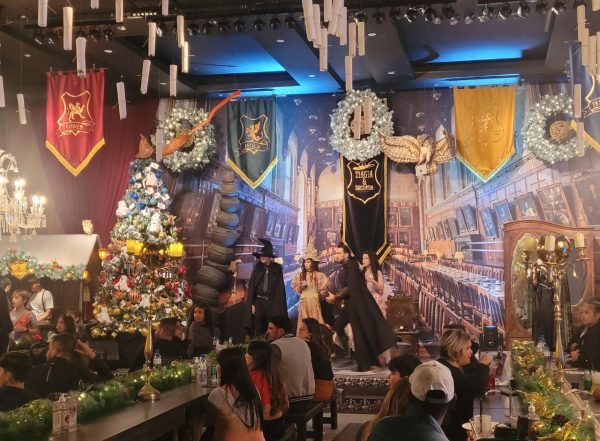 Natal Mágico é a atração do maior castelo e restaurante bruxo do Brasil: Magia e Bruxaria - Divulgação